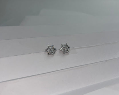 Shining Star Silver Studs
